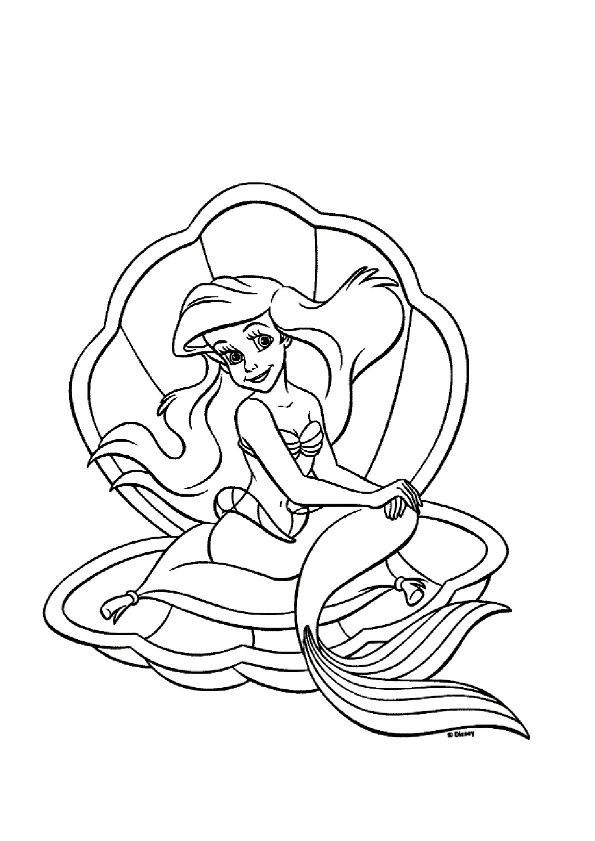 Dibujo de Ariel con Concha de La Sirenita para colorear e imprimir gratis - Personaje de La Sirenita