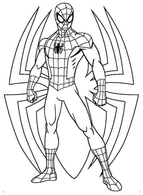 Dibujo de Logo Grande de Spiderman de Spiderman para colorear e imprimir gratis - Personaje de Spiderman